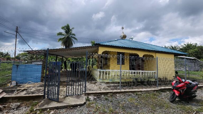 WhatsApp Image 2024-11-23 at 13.03.03